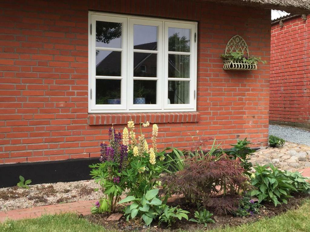Hébergement de vacances Nordsee-traum Unter Reet *
